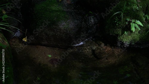 Moss-covered stones and a gently flowing stream