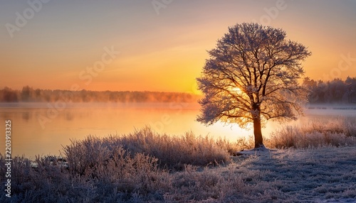 a solitary frosted tree stands sentinel on the edge of a misty lake at sunrise its branches reaching towards the golden sky