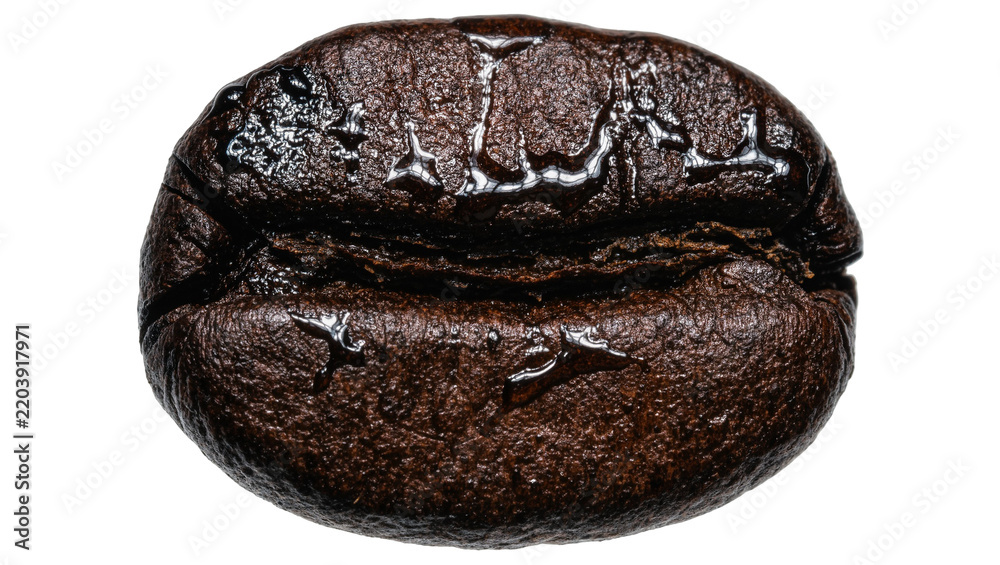 Obraz premium Dark roasted coffee bean with water droplets, isolated on transparent background