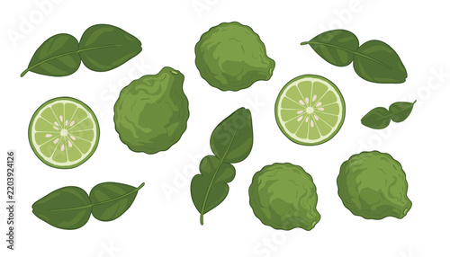 Assorted bergamot citrus fruits including whole pieces and cross sections along with aromatic leaves create a fresh culinary ingredient collection.