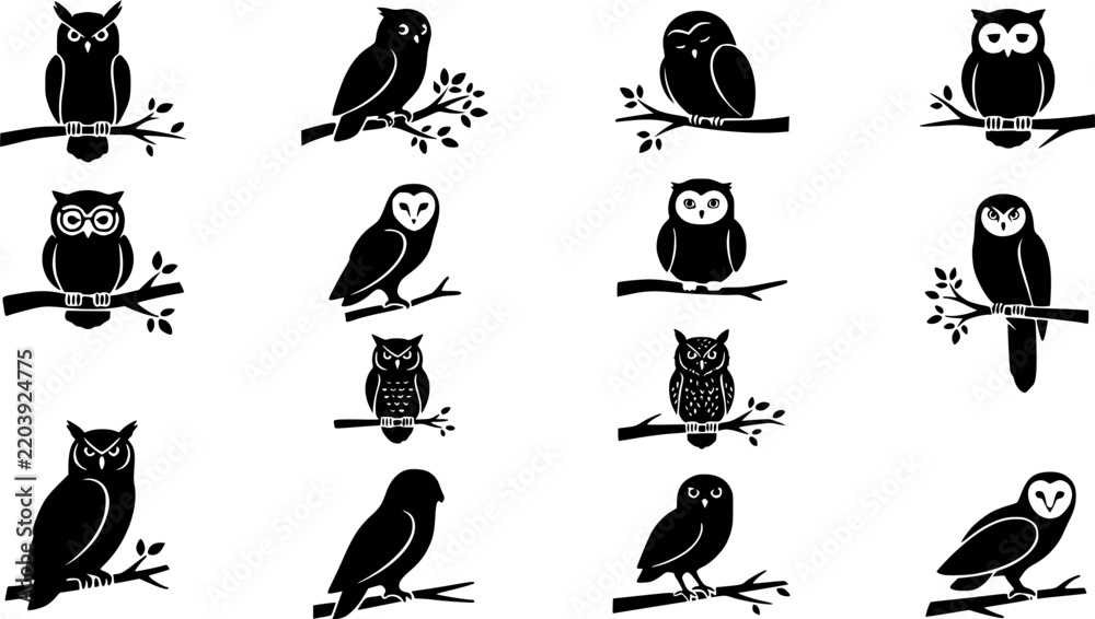 Obraz premium set vector various owl, owl sitting on a tree branch silhouettes 
