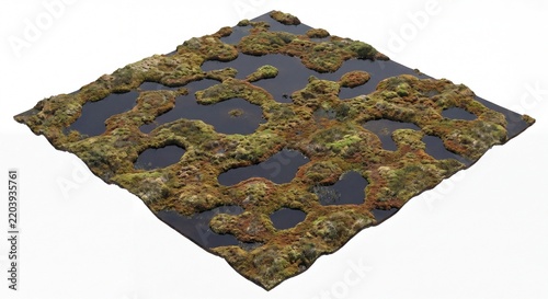 A square patch of marshland featuring dark water pools and mossy green vegetation on white ground.