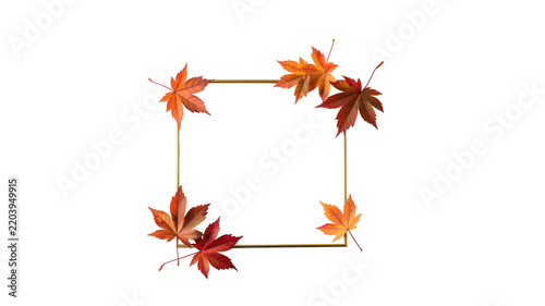 Square picture frame border made of colorful autumn leaves isolated on white background