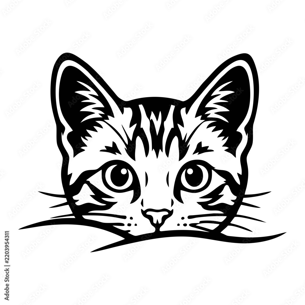 Fototapeta premium vector illustration of a cat