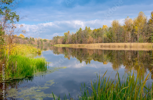 Serene autumn landscape featuring a calm river reflecting the golden trees and blue cloudy sky
