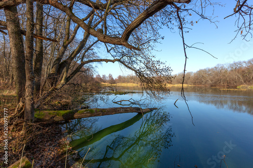 Serene autumn landscape featuring a calm river flowing through a quiet woodland forest area