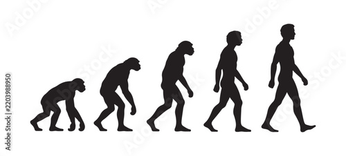 Human Evolution Silhouette Vector Ape to Modern Man Progression Illustration