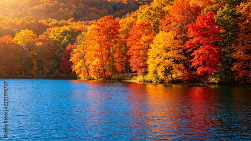 Spectacular Fall Colors Contrast, Saturated Blue Water Trees.