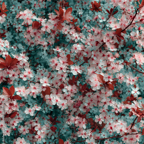 Beautiful Colorful Flowers Bouquet, Floral Botanical Background, Spring Nature Illustration