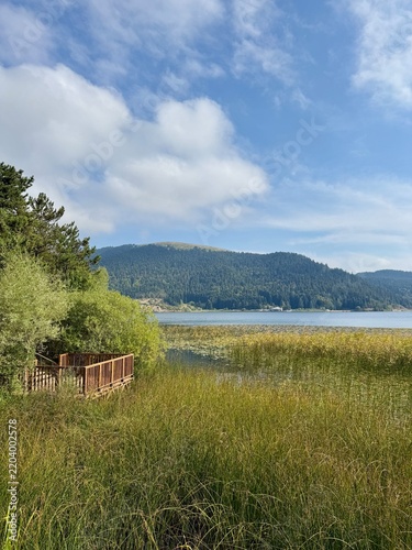  Forest by Lake. Lake Abant Nature Park. Bolu, Turkey