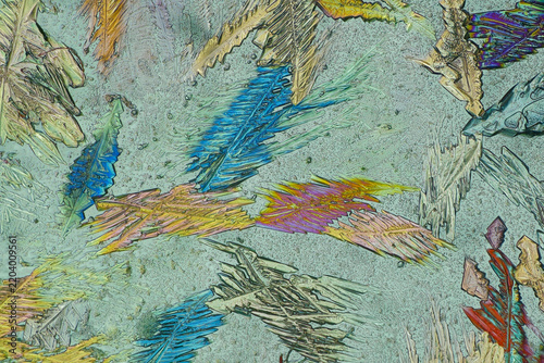 Polarized light microscopy of magnesium sulfate isolated dendritic crystals with colorful feathered structures on pale olive background