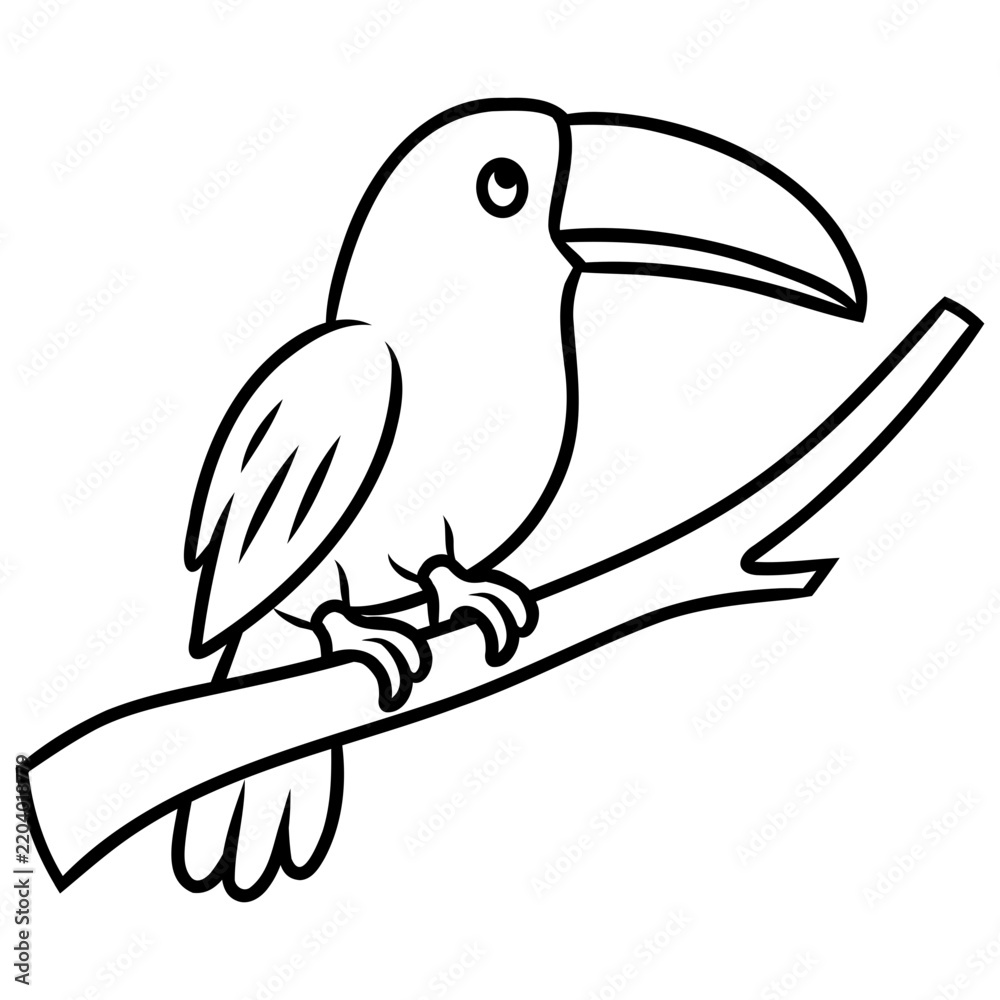 Fototapeta premium Toucan Perched on a Branch Illustration for kids coloring book