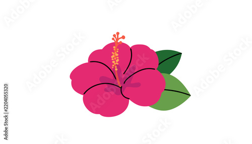 Hibiscus flower illustration with green leaves on a white background