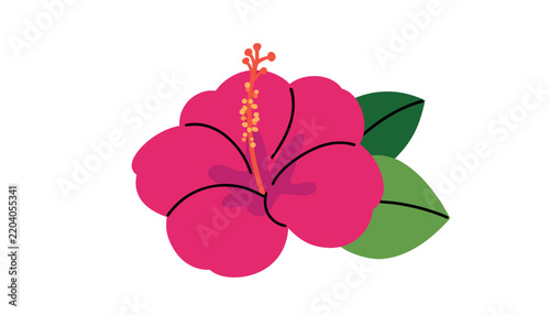 Hibiscus flower illustration features bold pink petals and green leaves