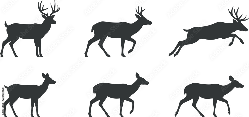 Fototapeta premium Deer and doe silhouette shapes vector illustration set featuring buck stags walking running jumping isolated on white background.