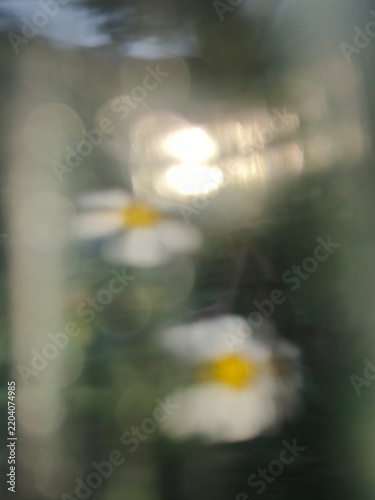 Abstract motion blur photo of a white daisy flower