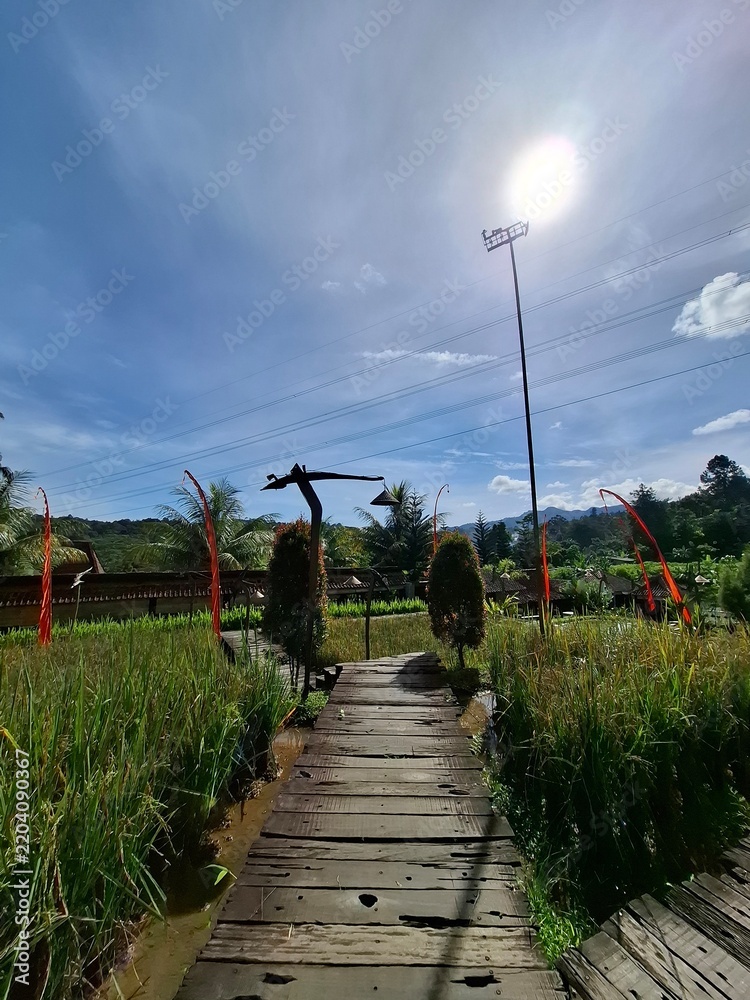 Fototapeta premium wooden bridge in the park
