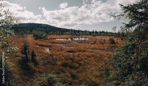 Obraz na plátně panoramic view of the ponds at Čihadlo in the Jizera Mountains