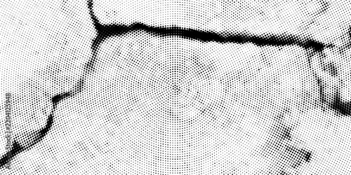 Radial halftone dots. Spotted and dotted stains gradient background. Concentric comic texture with fading effect. Black and white rough gritty wallpaper. Grunge monochrome geometric backdrop. Vector