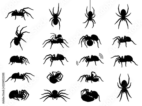 Spider Animal Symbols Editable Vector