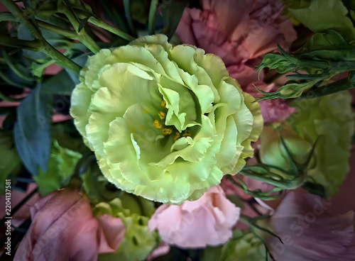 Arrangement of delicate pink and light green lisianthus flowers with buds and stems rich in foliage