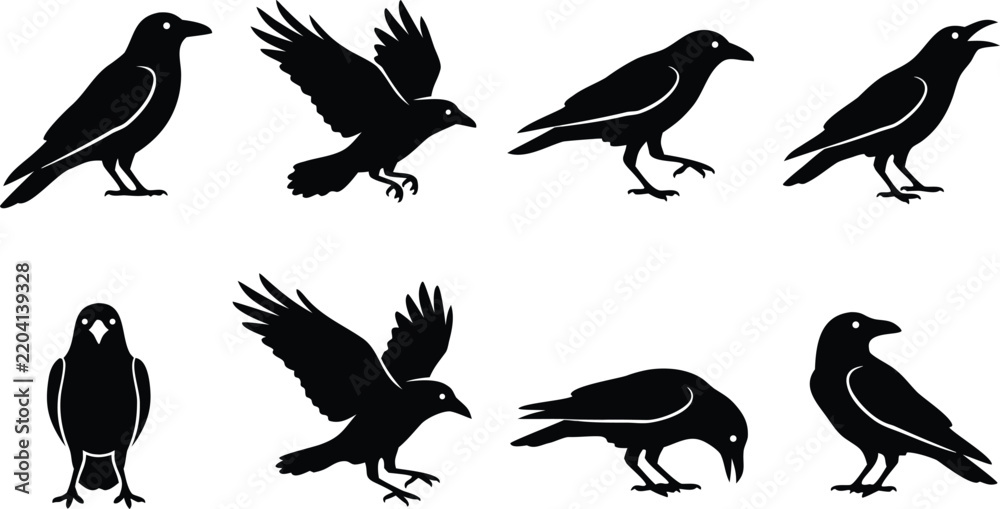 Fototapeta premium Black crow set silhouettes walking flying and perched poses