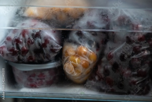 Frozen Berries and Fruits Stored in Plastic Bags Inside a Freezer Compartment for Long Term Storage