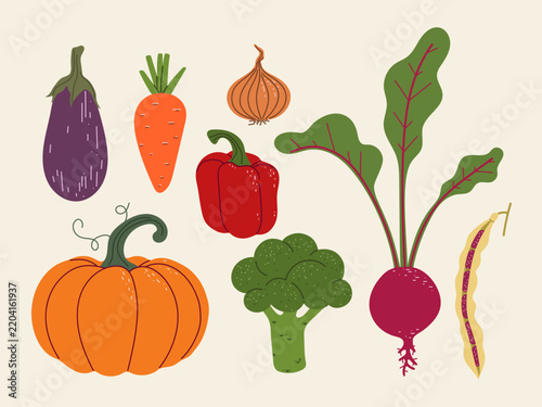 Set of autumn vegetables. Agricultural crops. Flat vector isolated illustrations.