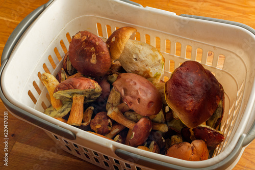 Edible mushrooms in basket