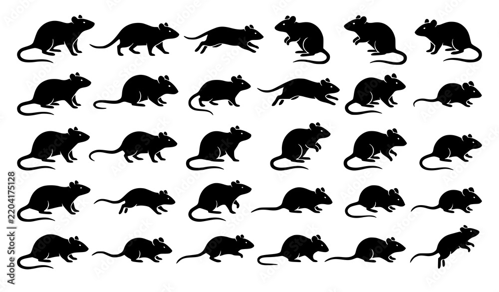 Fototapeta premium Set of Black Rats and Mice Silhouette Icons, Rodent Collection, Vector Illustration