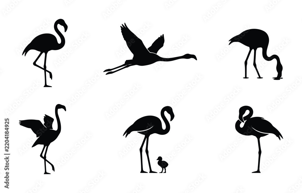 Obraz premium Flamingo Silhouettes Collection, Elegant Bird Poses Vector Set, Tropical Wildlife Graphic Elements