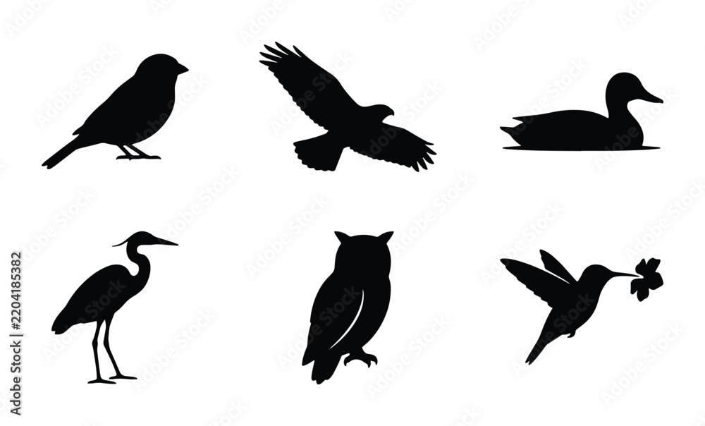 Obraz premium Diverse Bird Silhouettes Collection: Eagle, Owl, Heron, Hummingbird, Sparrow, Duck Icons for Nature and Wildlife Design