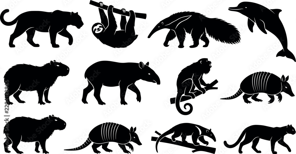 Fototapeta premium Animal Silhouettes Set with Jaguar, Sloth, Dolphin, Capybara, Armadillo, Monkey, and Bear Icons