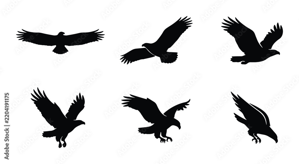 Fototapeta premium Eagle Silhouettes, Bird of Prey Flying Poses Vector Set, Majestic Raptor Icons for Wildlife and Freedom Concepts