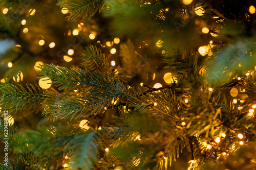 Golden Christmas lights creating warm festive bokeh on decorated tree branches during winter season