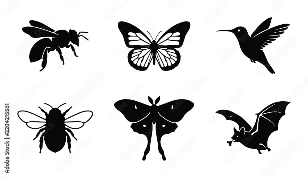 Obraz premium Insect Vector Silhouettes: Bee, Butterfly, Moth, Bat, Hummingbird Icons for Nature and Wildlife Design