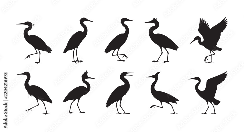 Obraz premium Black heron bird silhouettes collection featuring various standing and landing poses for wildlife design and nature projects.