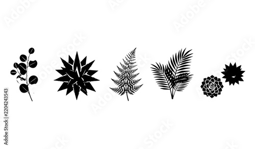 Decorative Eucalyptus Agave Fern Palm and Succulent Botanical Vector Icon Set