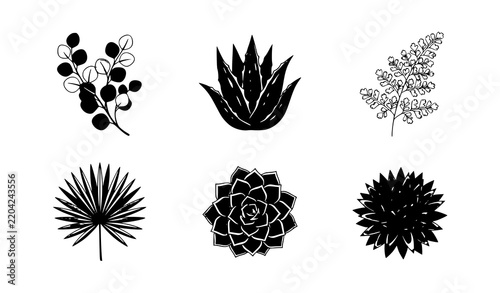 Modern Botanical Eucalyptus Agave Fern Palm Leaf and Succulent Icon Collection