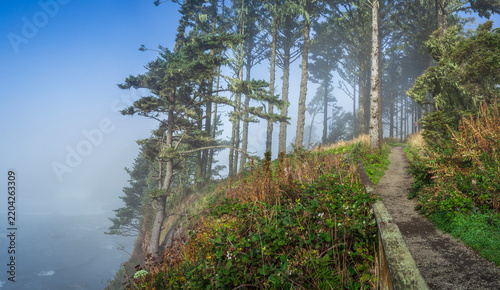 Beautiful wide panoramic view of a fenced hiking trail on a high cliff over a misty ocean at sunrise