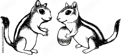 ink illustration of two chipmunks playing catch with a nut or handing a nut to the other