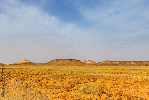 Bild auf Leinwand Distant mesas above the golden gibber plain near Evelyn Downs, South Australia