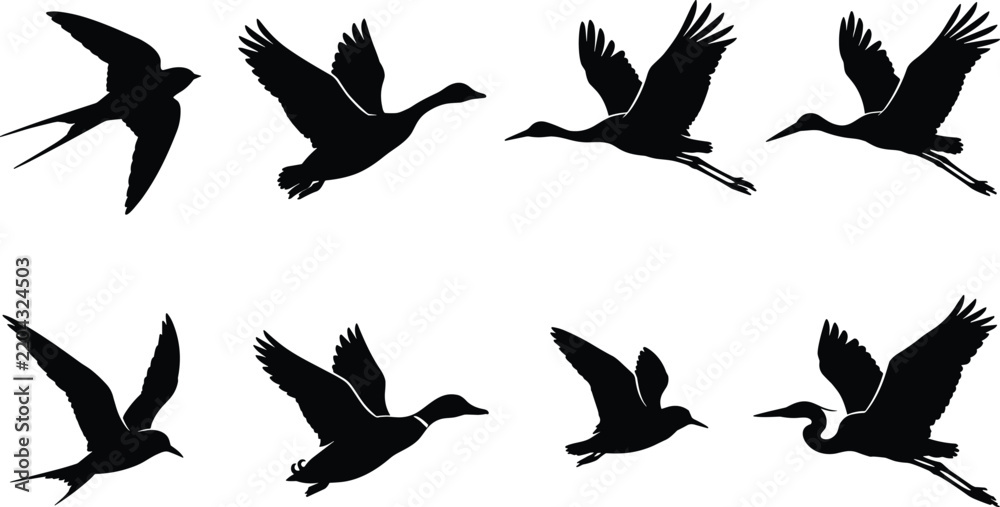 Obraz premium Flying bird silhouette collection featuring cranes and swallows in dynamic poses, wildlife nature symbols, black animal shapes, cad drawing flat vector illustration