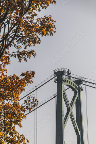 Bridge View