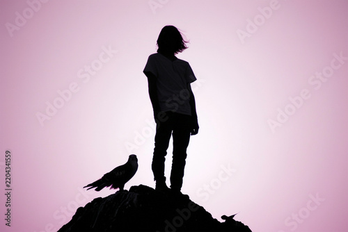 Silhouette of a man standing on a cliff edge with a falcon against a soft pink twilight sky