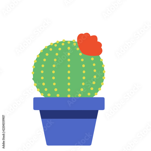 Potted cactus with red flower
