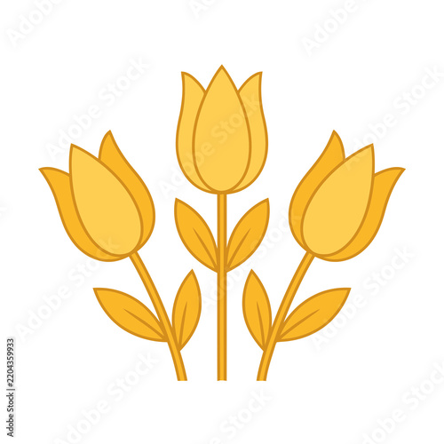 Three yellow tulips illustration