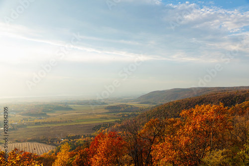 Foto Panoramic view of autumn foliage covering mountain ridge
