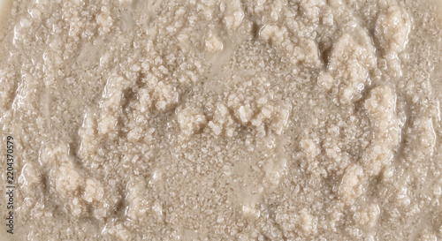 Wet struvite precipitate shown as a full-frame pale crystalline slurry with moisture-bound mineral particles and irregular agglomerated texture