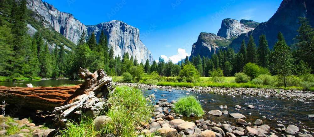 Obraz premium Scenic Valley View of Merced River, El Capitan and Cathedral Rocks in Yosemite National Park